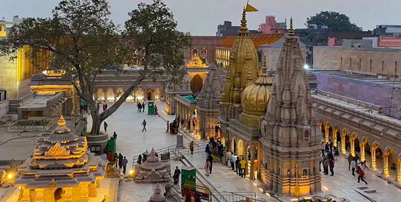 kasi viswanathar temple